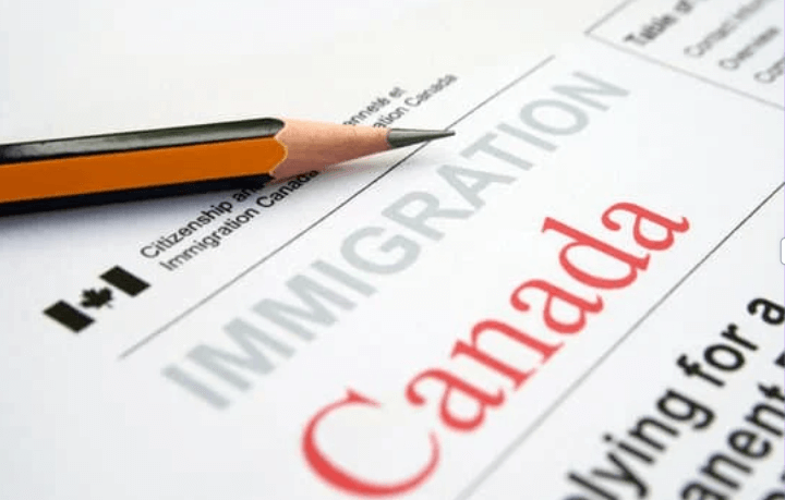 Most Common Canada Immigration Options in 2024